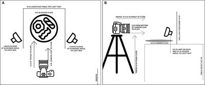 Development and Pilot Testing of Standardized Food Images for Studying Eating Behaviors in Children